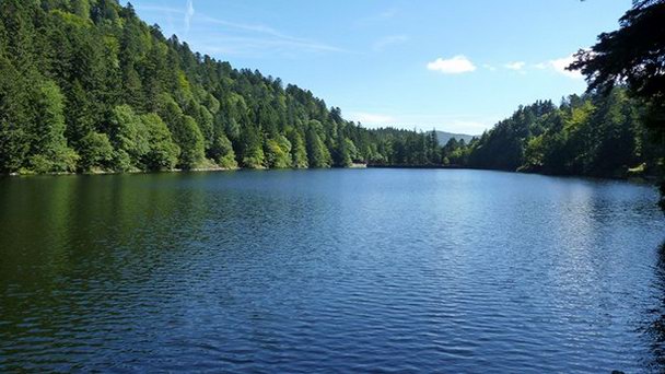 Озеро Альтенвайер в Эльзасе