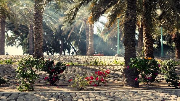 Джумейра Бич Парк в Дубае