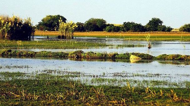 Озеро Бангвеулу в Лусаке