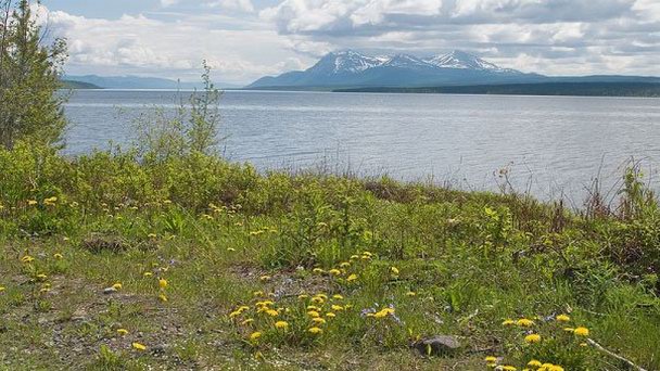 Озеро Теслин в Британской Колумбии