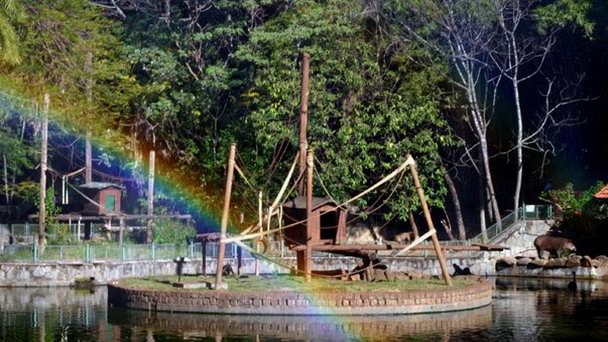 Парк Jequitibas в Сан-Паулу