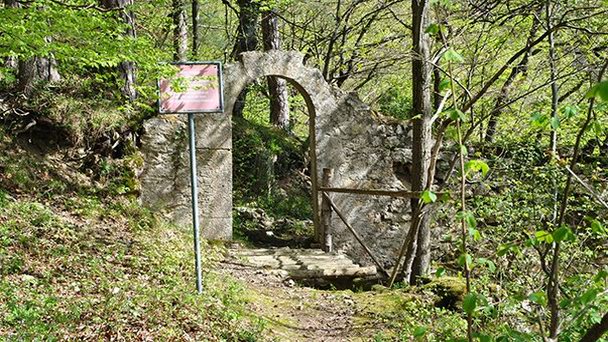 Развалины Вильд-Эптинген в Аргау Развалины Вильд-Эптинген в Аргау