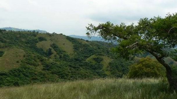 Долина 1000 холмов в Дурбане