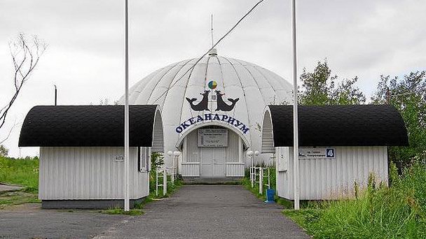Мурманский океанариум