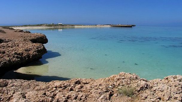 Ассаль (озеро) в Джибути Ассаль (озеро) в Джибути