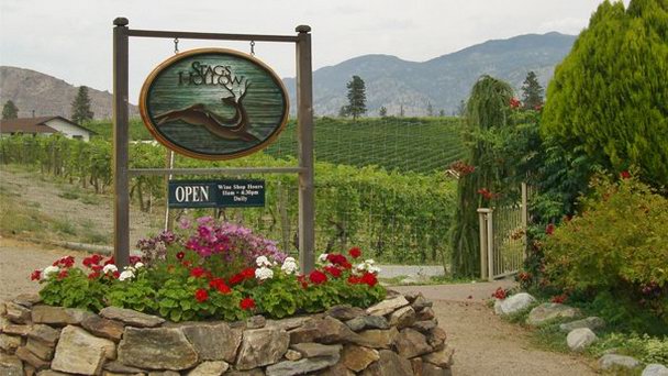 Винодельня Stag`s Hollow в Британской Колумбии