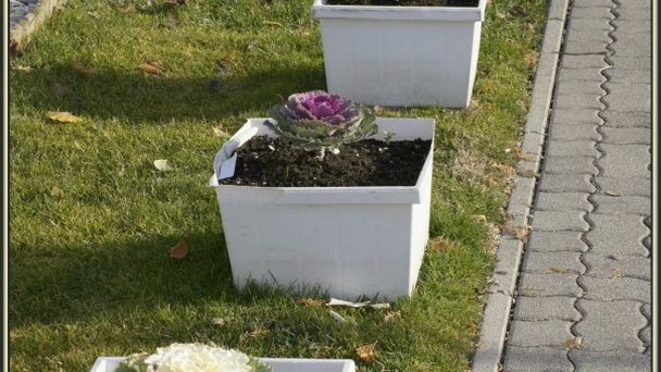 Улица Сечени в Хевизе