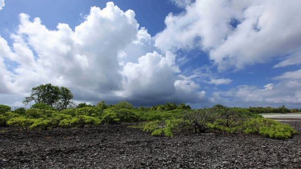 Остров Дейнджер на о-вах Лайне Остров Дейнджер на о-вах Лайне