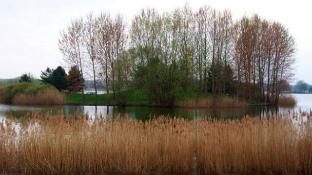 Региональный природный парк Восточный лес в Шампани