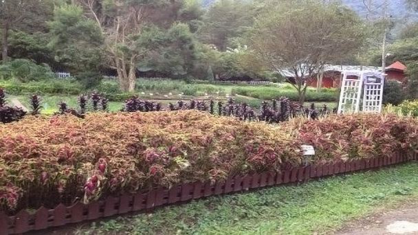 Парк Tashi в Таоюане