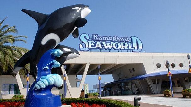 Морской мир Камогава в Киото