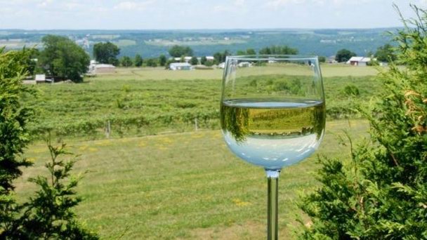 Винодельни долины Аменью-Пасс в Нумеа Винодельни долины Аменью-Пасс в Нумеа