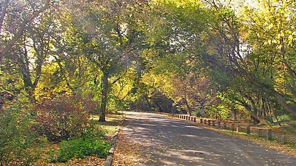 Парк имени сэра Уилфрида Лорье в Эдмонтоне