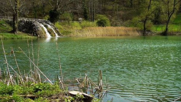 Озеро Арлесхаймер в Баден-Вюртемберге