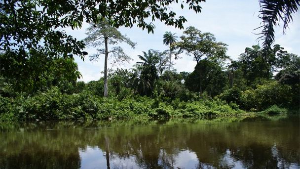 Река Великая Ква в Лагосе