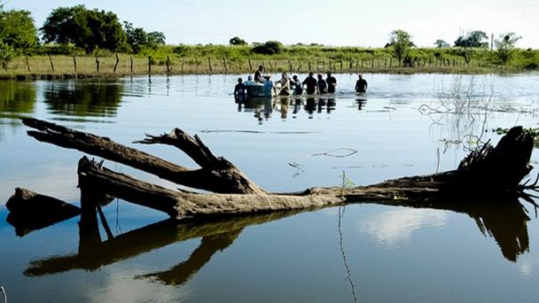 Природная зона «Святилище ламантинов» в Сьюдад-дель-Кармене