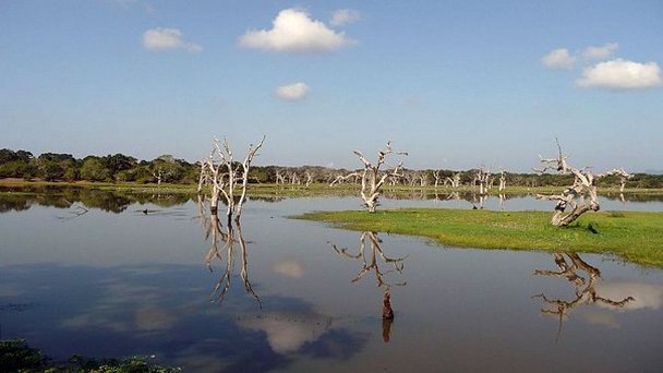 Национальный парк Яла в Дамбулле