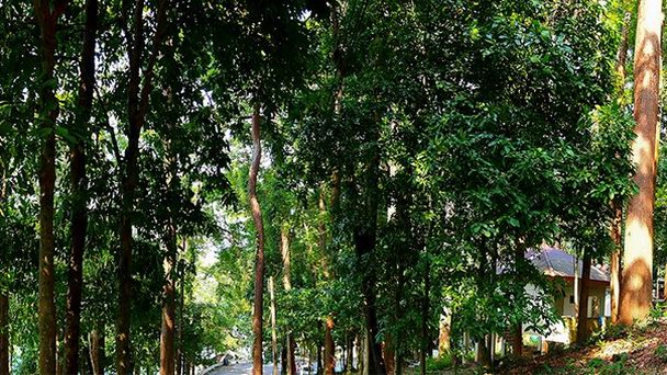 Национальный парк Као Лак-Лам Ру на Пхукет