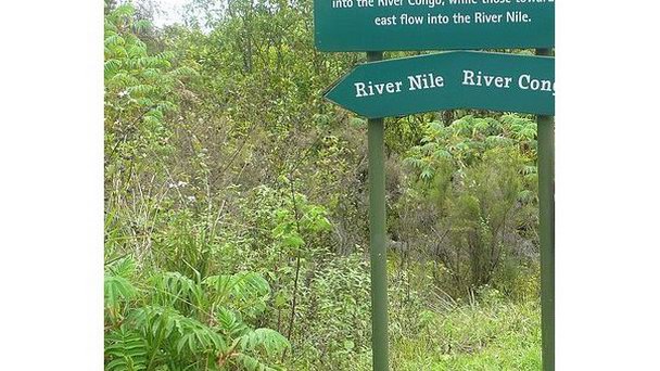 Парк Ньюнгве в Кигали