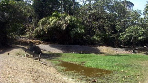 Национальный резерват Абуко в Банжуле