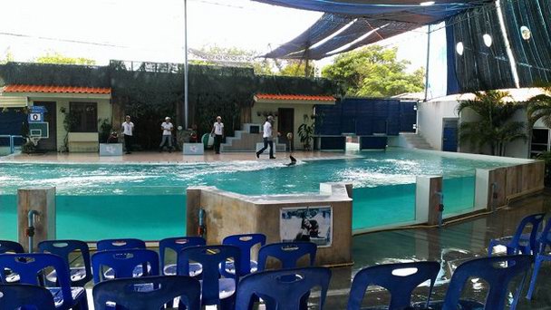 Самуйский аквариум на Самуи Самуйский аквариум на Самуи