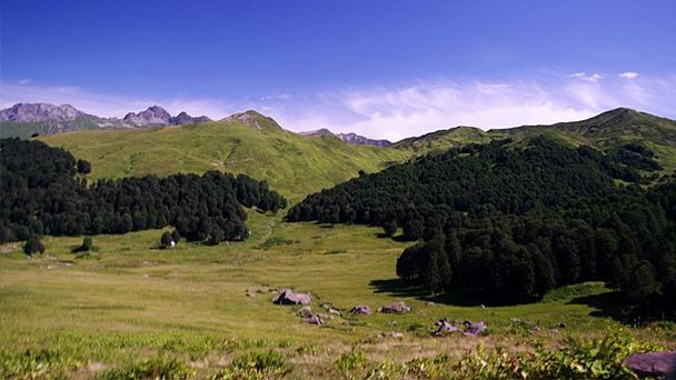 Альпийские луга Абхазии в Пицунде