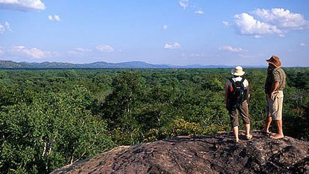 Заповедник Мвабви в Лилонгве Заповедник Мвабви в Лилонгве
