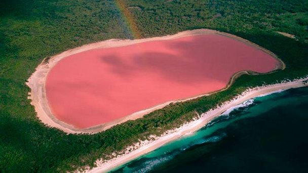 Озеро Хиллер в Перте Озеро Хиллер в Перте