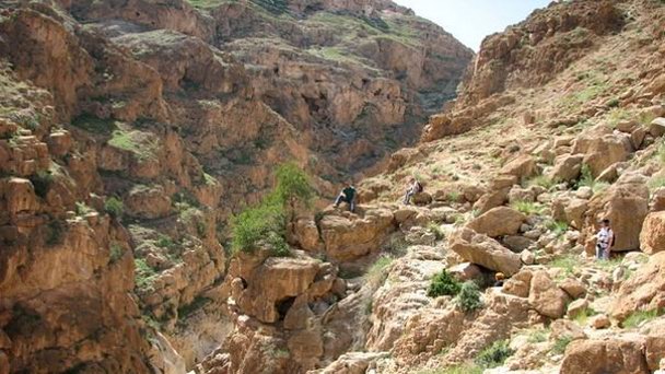 Нахаль Ог на Мертвом море