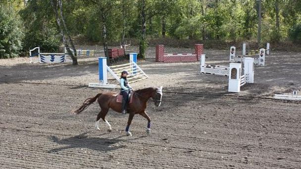 Центр верховой езды Reitstall Marienberg в Баварии