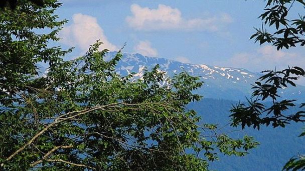 Перевал Доу в Сухуми