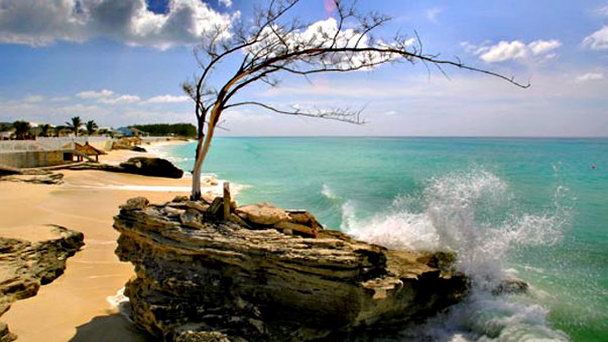 Риф Грин-Тартл на Большом Абако Риф Грин-Тартл на Большом Абако