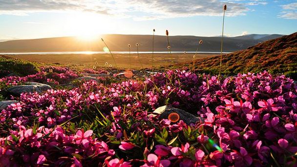 Национальный парк Сирмилик в Йеллоунайфе Национальный парк Сирмилик в Йеллоунайфе