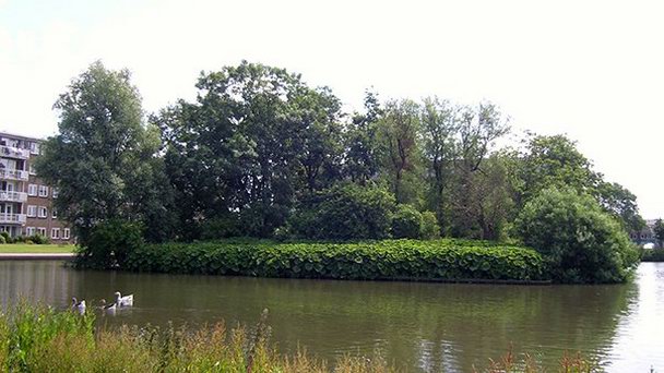 Руины замка Тер Вийк в Хемскерке Руины замка Тер Вийк в Хемскерке