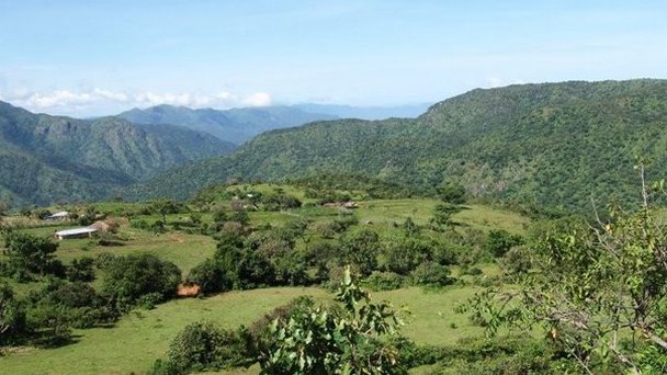 Плато Mambilla в Абудже