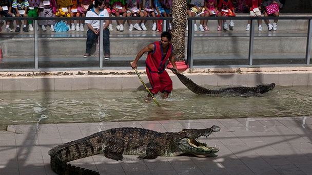 Зоопарк на Пхукете