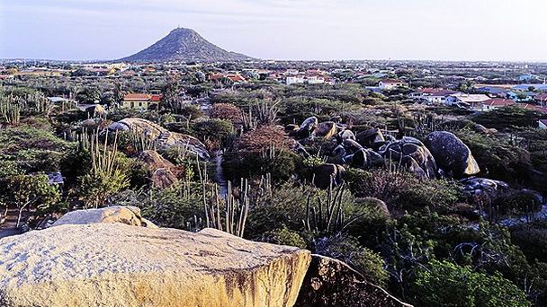 Гора Яманота на Арубе Гора Яманота на Арубе