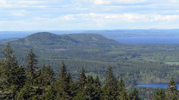 Национальный парк Коли