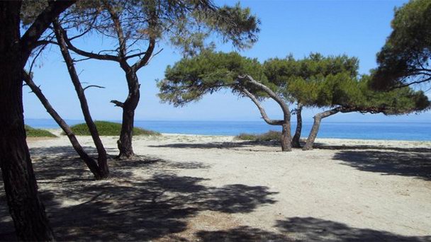 Пляж Порт Гларокавос в Халкидики