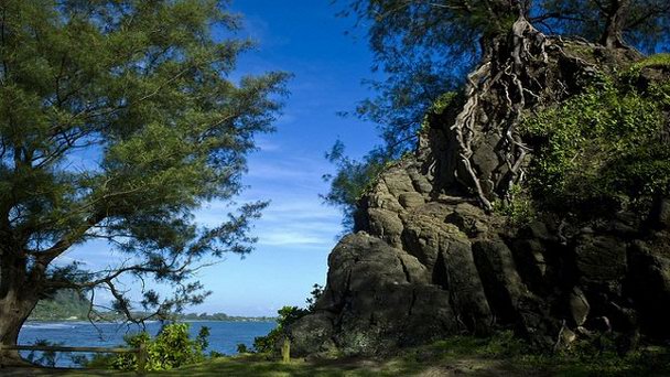 Холм одного дерева на Таити