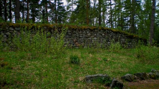 Ристиина в Миккели