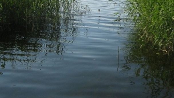 Озеро Воблицзе в Макленбург-Передней Померании