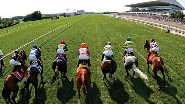 Парк Кайманас в Портморе в Кингстоне Парк Кайманас в Портморе в Кингстоне