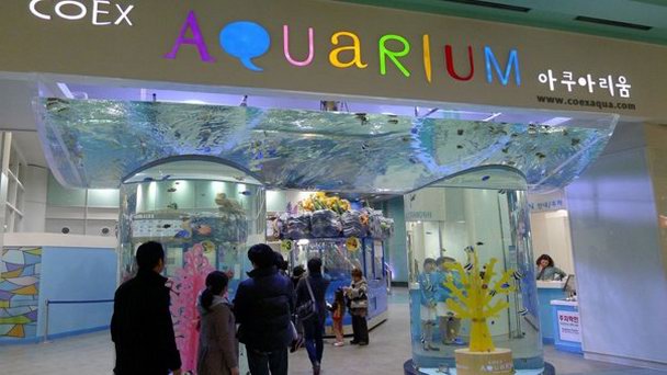 Аквариум СОЕХ в Сеуле Аквариум СОЕХ в Сеуле