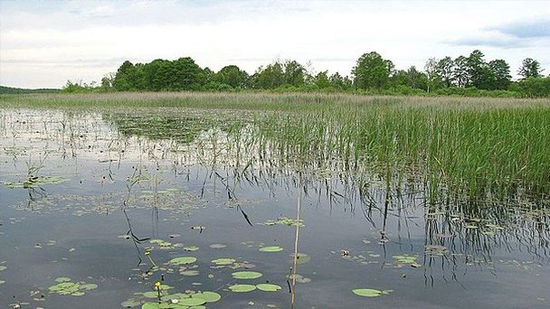 Национальный парк Полесский в Люблинском воеводстве