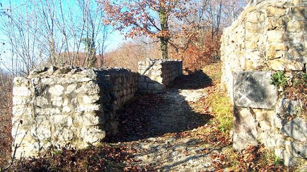 Развалины Алтенберг в Аргау