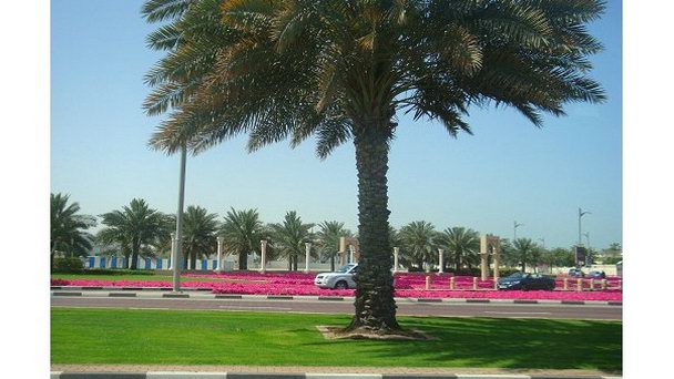 Jumeira road в Дубае
