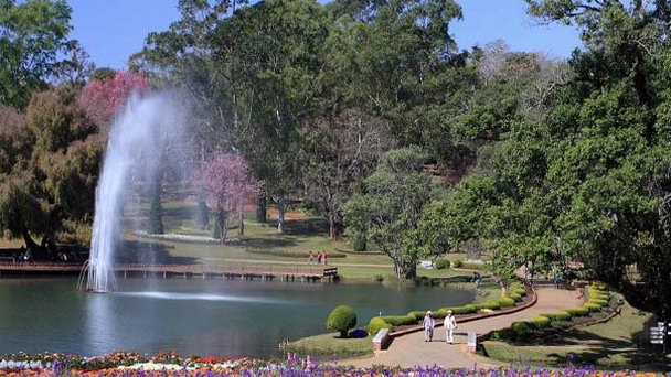 Национальный ботанический сад Кэндоуджи в Мандалае Национальный ботанический сад Кэндоуджи в Мандалае