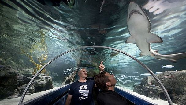 Аквариум в Окленде