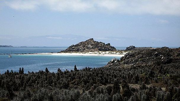 Остров Дамас в Ла-Серене Остров Дамас в Ла-Серене